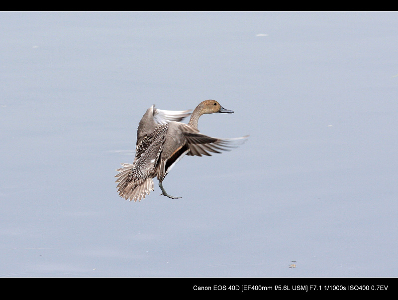 20091108_0f4d3cac826d0fc37391PRRKoXDkR4Wo.jpg