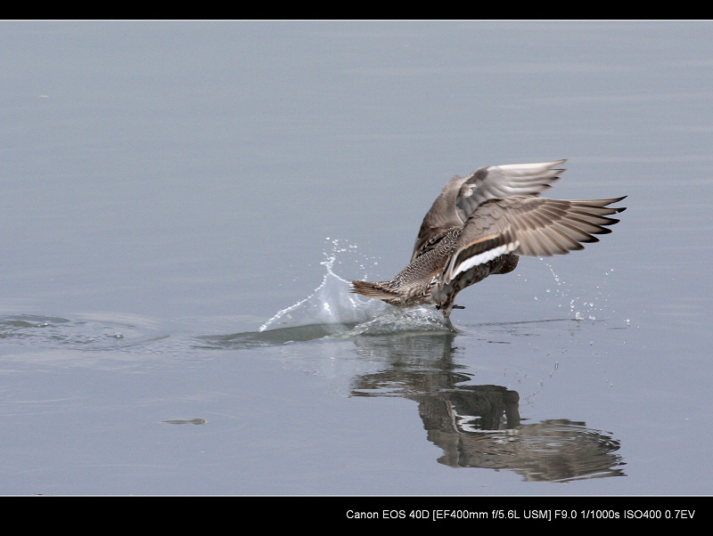 20091108_36d75cf3b1b38b17c1947qPu9aewRXEH.jpg