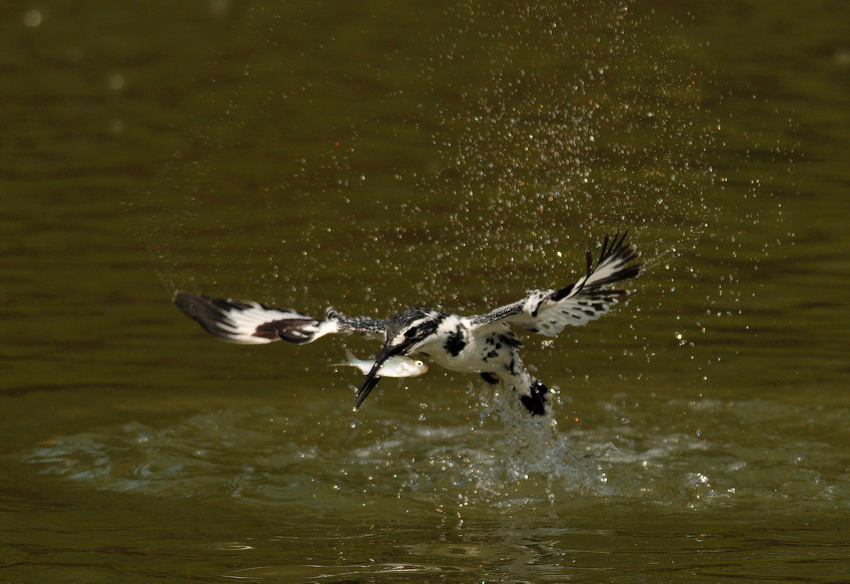 20091203_86be602174dcf55c2e107UiingC2E225.jpg