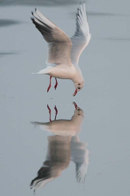20091224_c0cc3f68be6c03a43157iWgr4zepVKqO.jpg