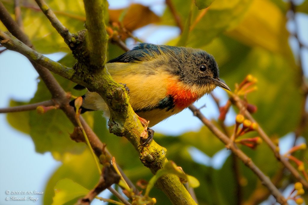 20110113_1d722c0fe95ba1ec4d81N5YaTcEMOKRM.jpg