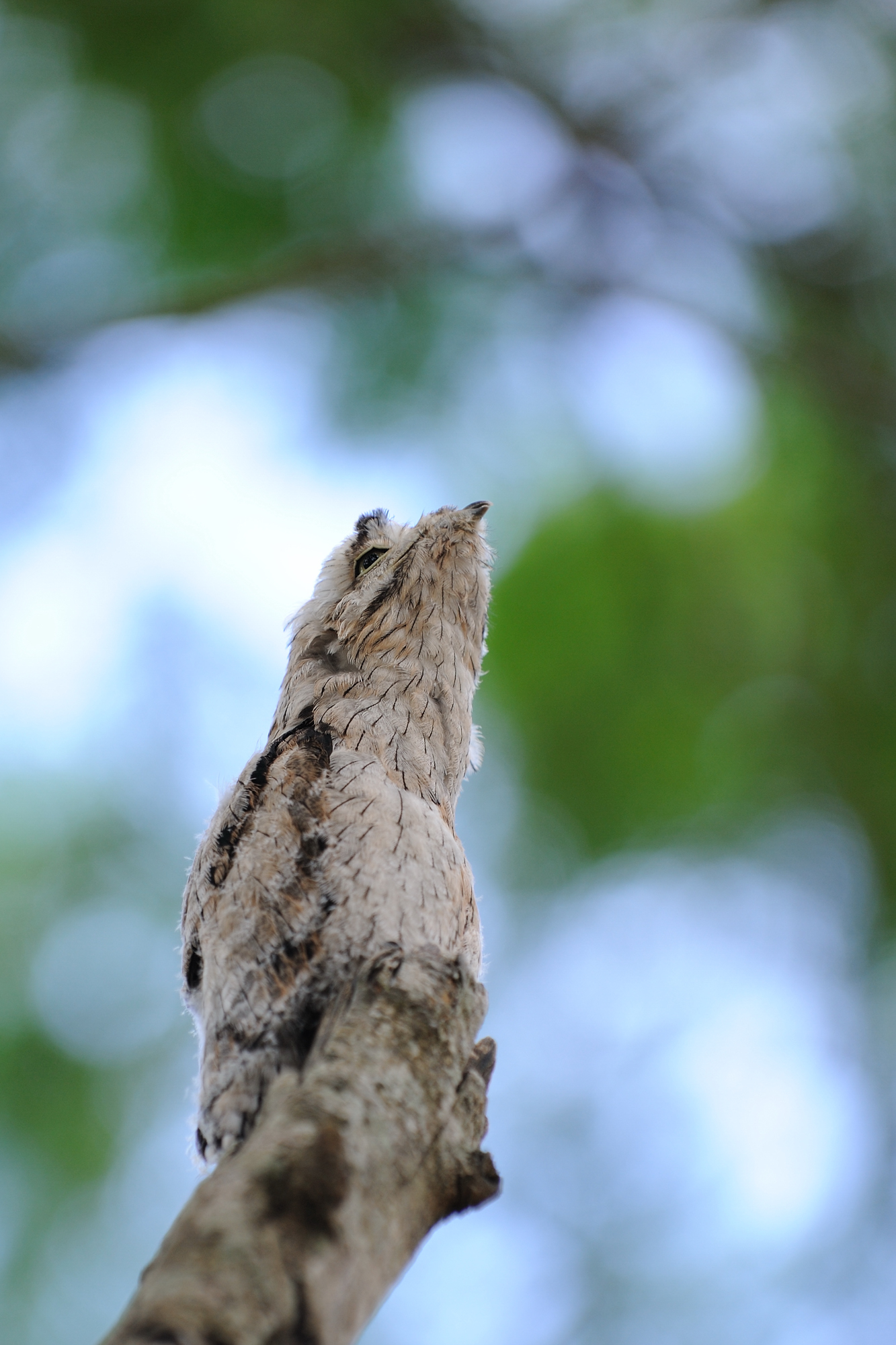 DSC_7927.jpg