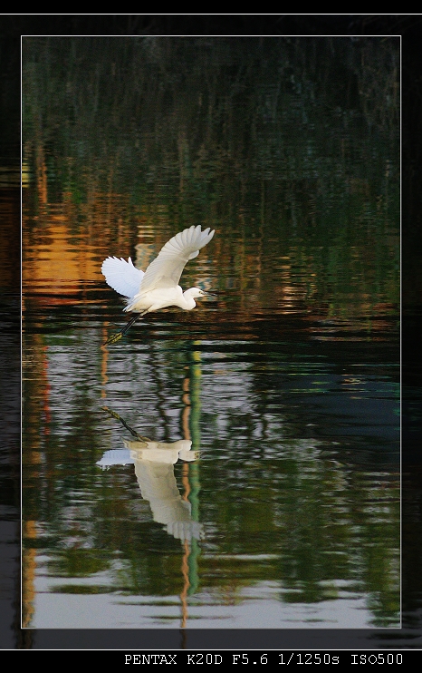 IMGP7164_1_ul.jpg