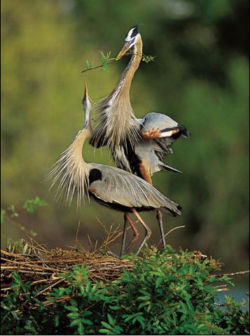 image011.jpg