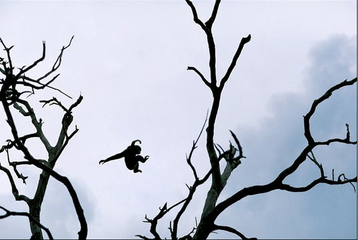 image013.jpg
