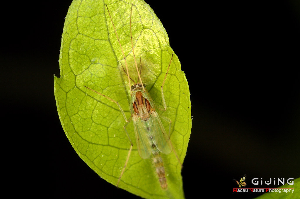 20100218_7c87d18fe620fadc43b8eF7Pzpu7Gq4V.jpg