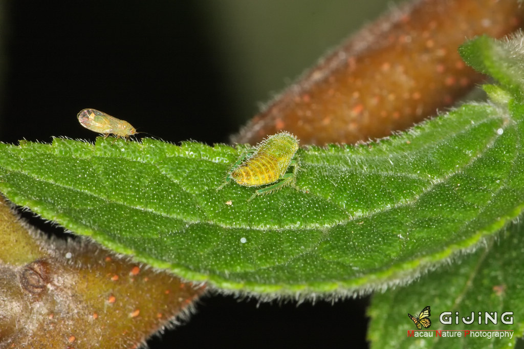 20100218_8aa425be77413d1a61ed8MFw9dioIPFK.jpg