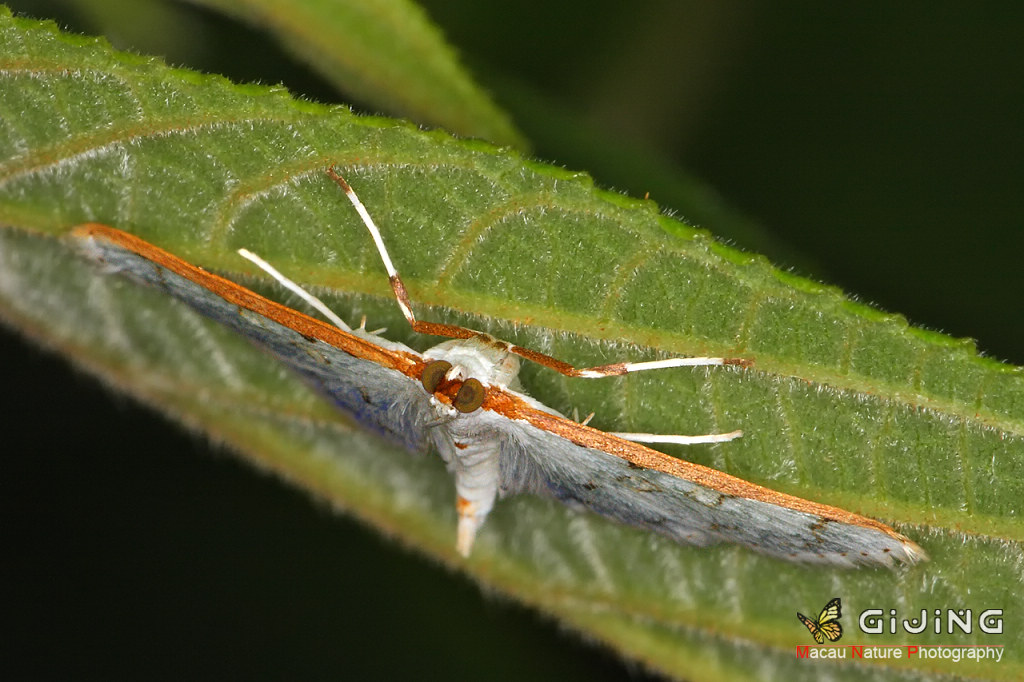 20100218_c6173d360d8941b46e78YxKGmXYE0xuU.jpg