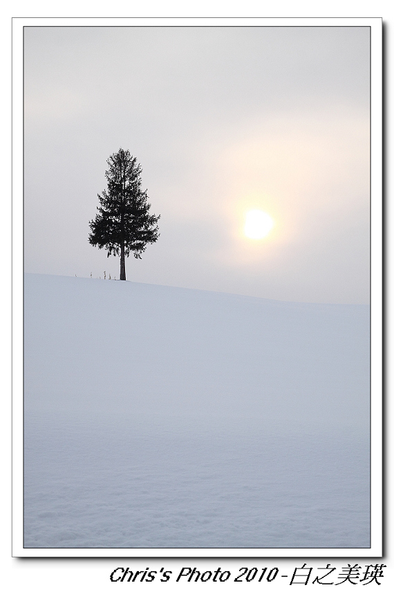 20100224_a9695d67ce5e17cef51fTQHRN8px0mwE.jpg