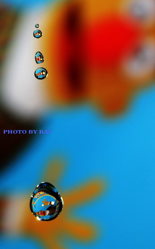 20091208_6ecc5cbb549fb3ec10790MgXd6TcQdzw.jpg