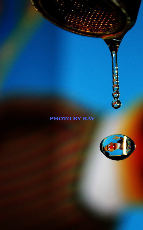 20091208_b5e9d2853e123d62d0feAqsq937taymK.jpg