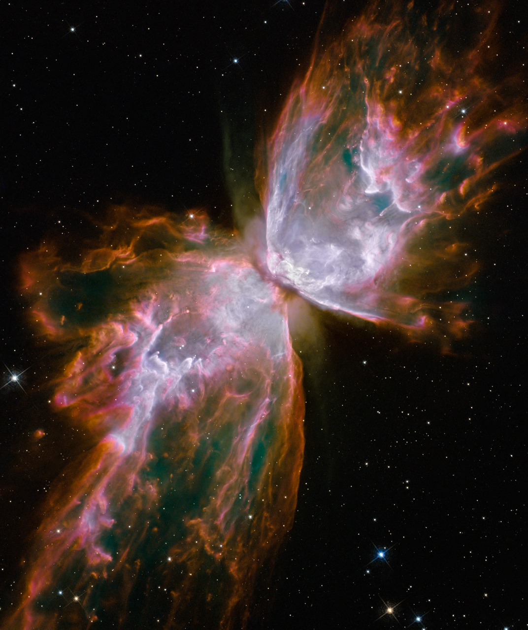 butterfly_hst_big.jpg