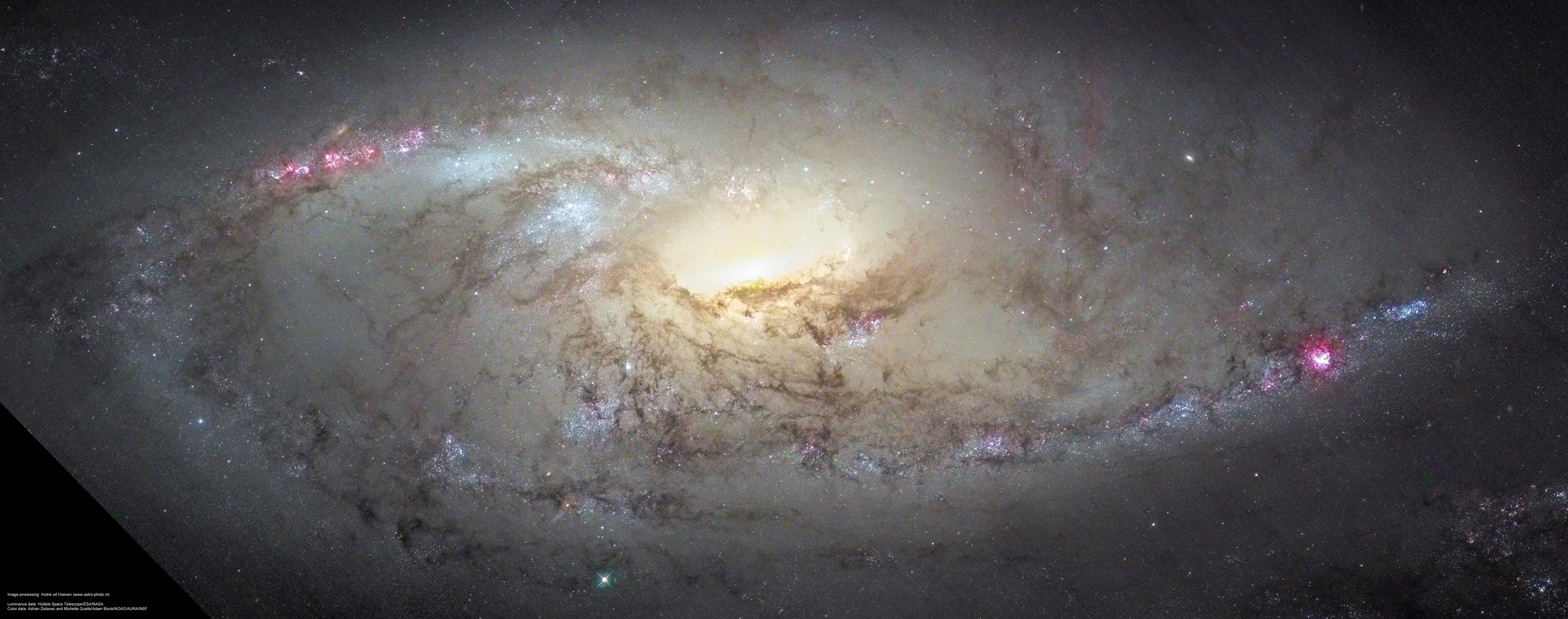 m106_lumhst_colorablock_red1.jpg