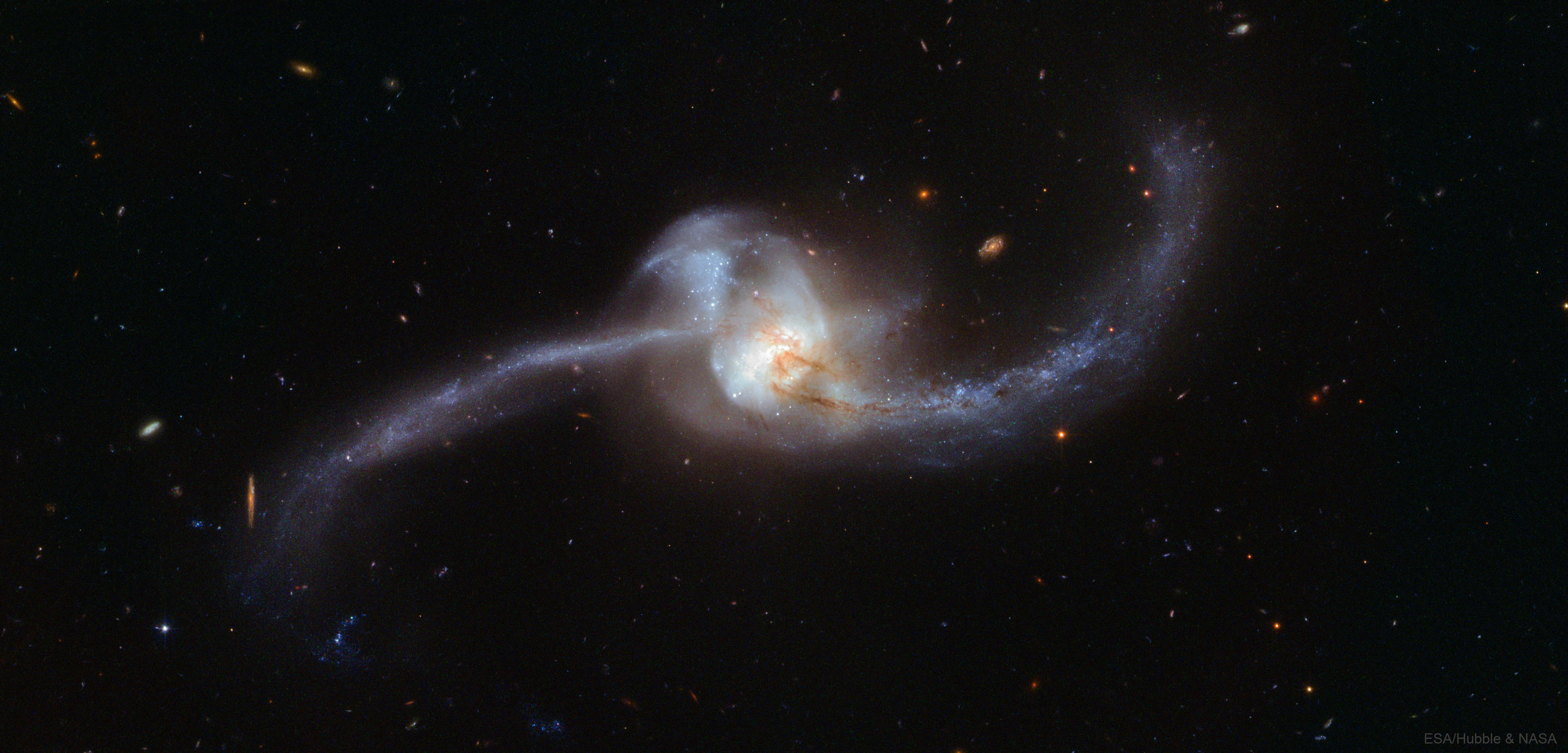 Arp243_Hubble_3978.jpg