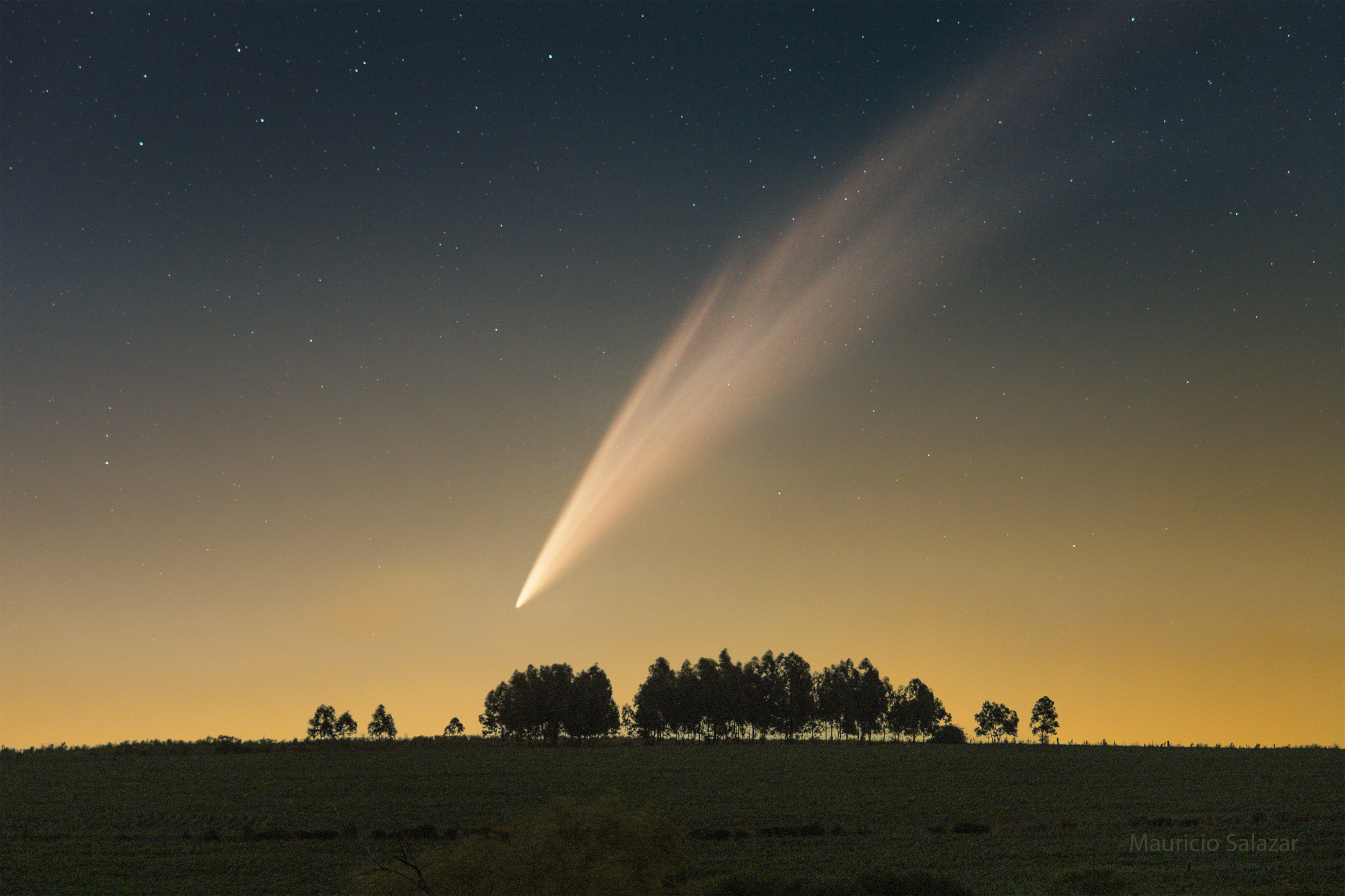 AtlasFields_Salazar_3214.jpg