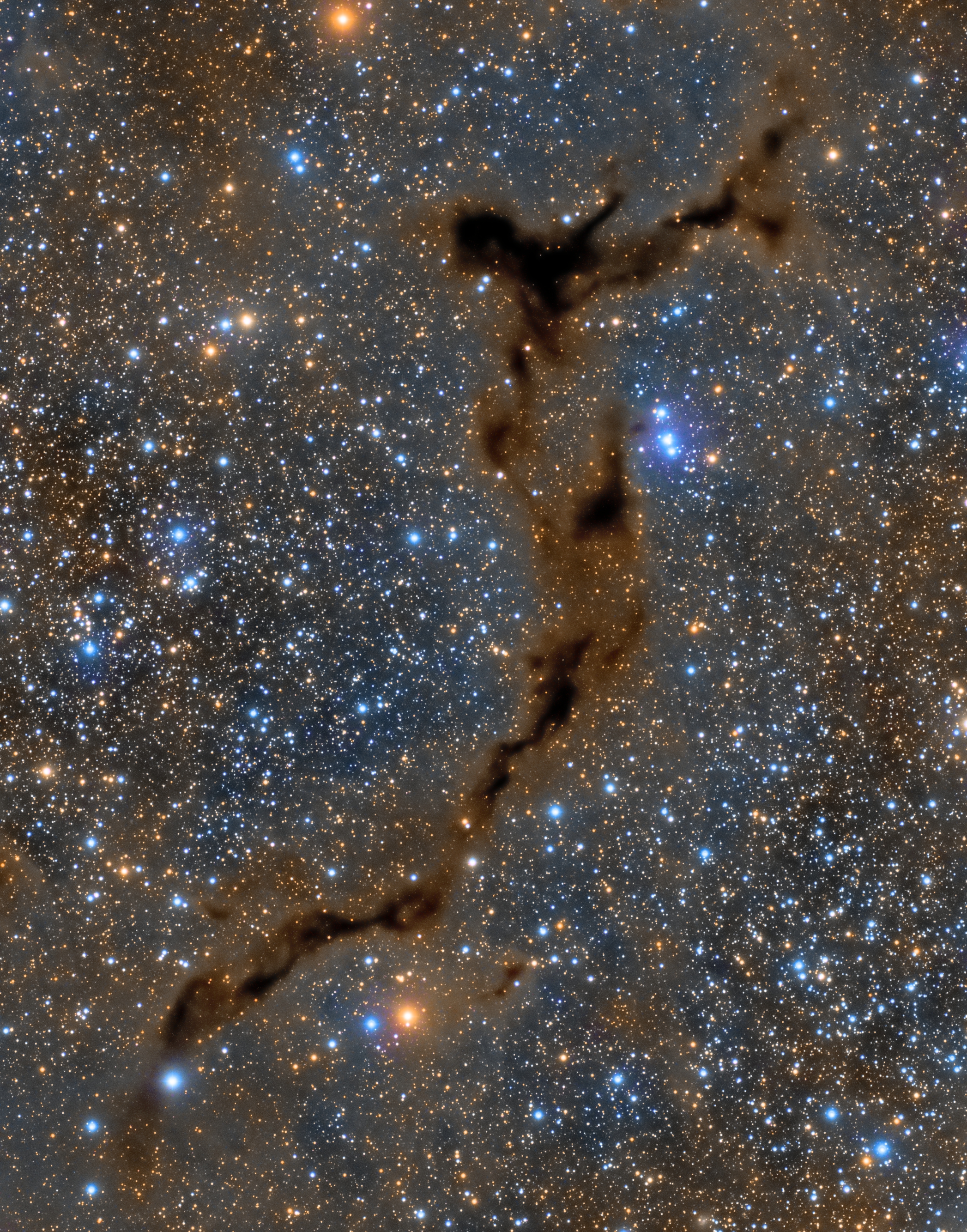 Barnard150Seahorse.jpg