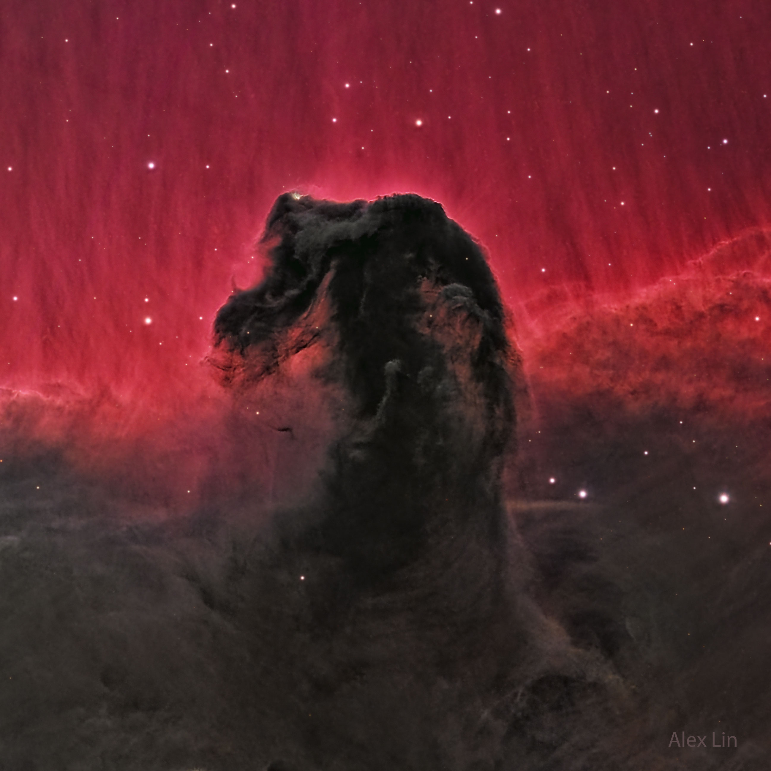 Horsehead_Lin_2596.jpg