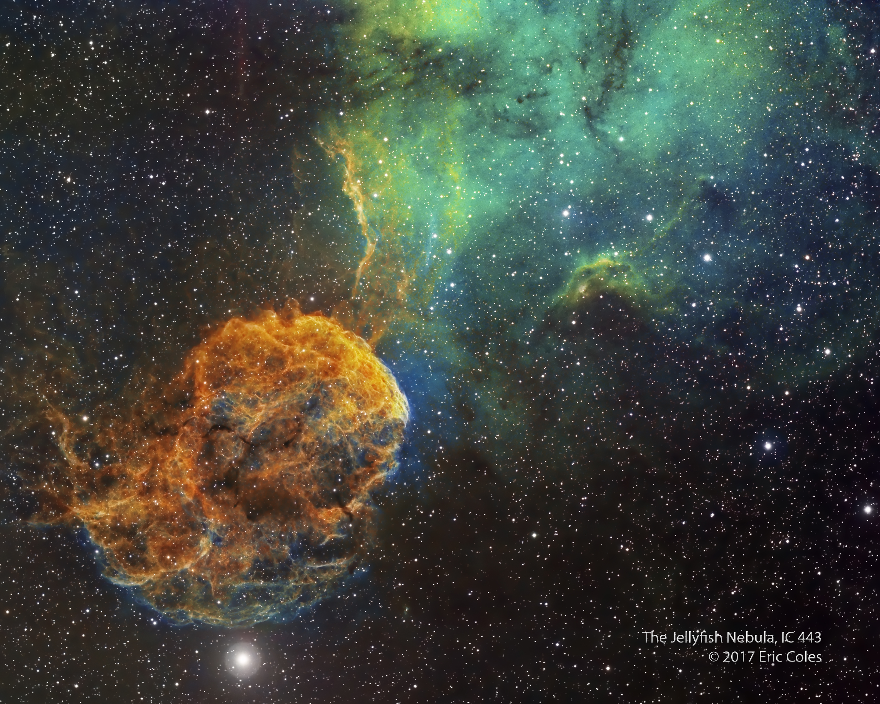 IC443HubblePalette2_8x10flat4bColes.jpg