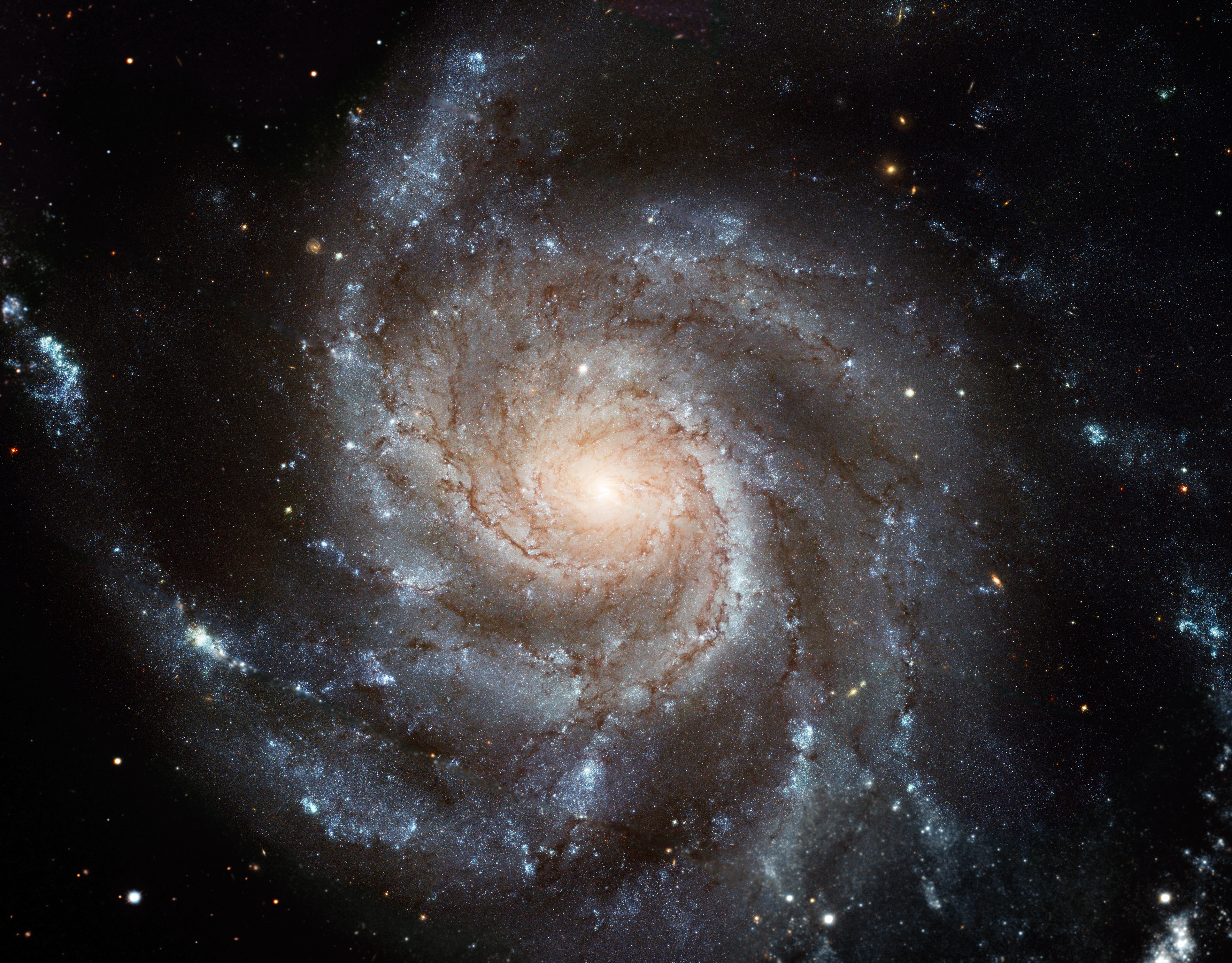 M101_hst6000.jpg