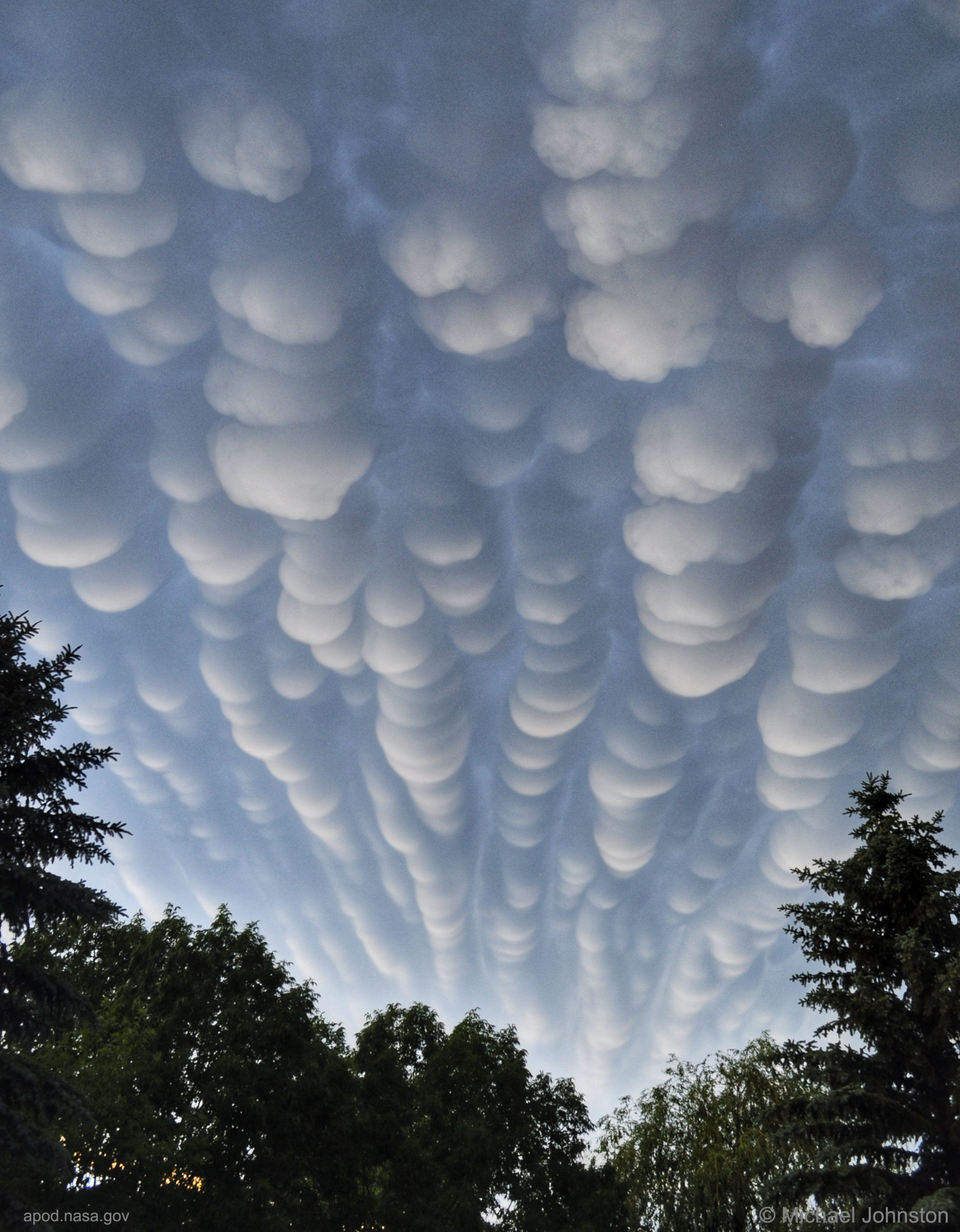 Mammatus_Johnston_2136.jpg