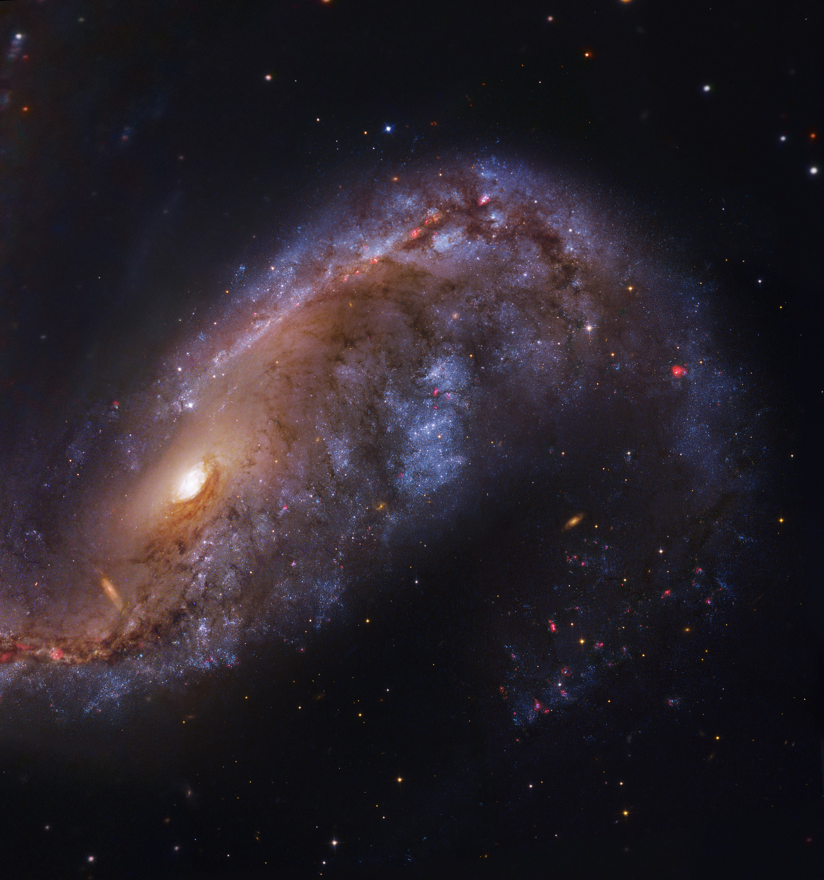 NGC2442-HST-ESO-L.jpg