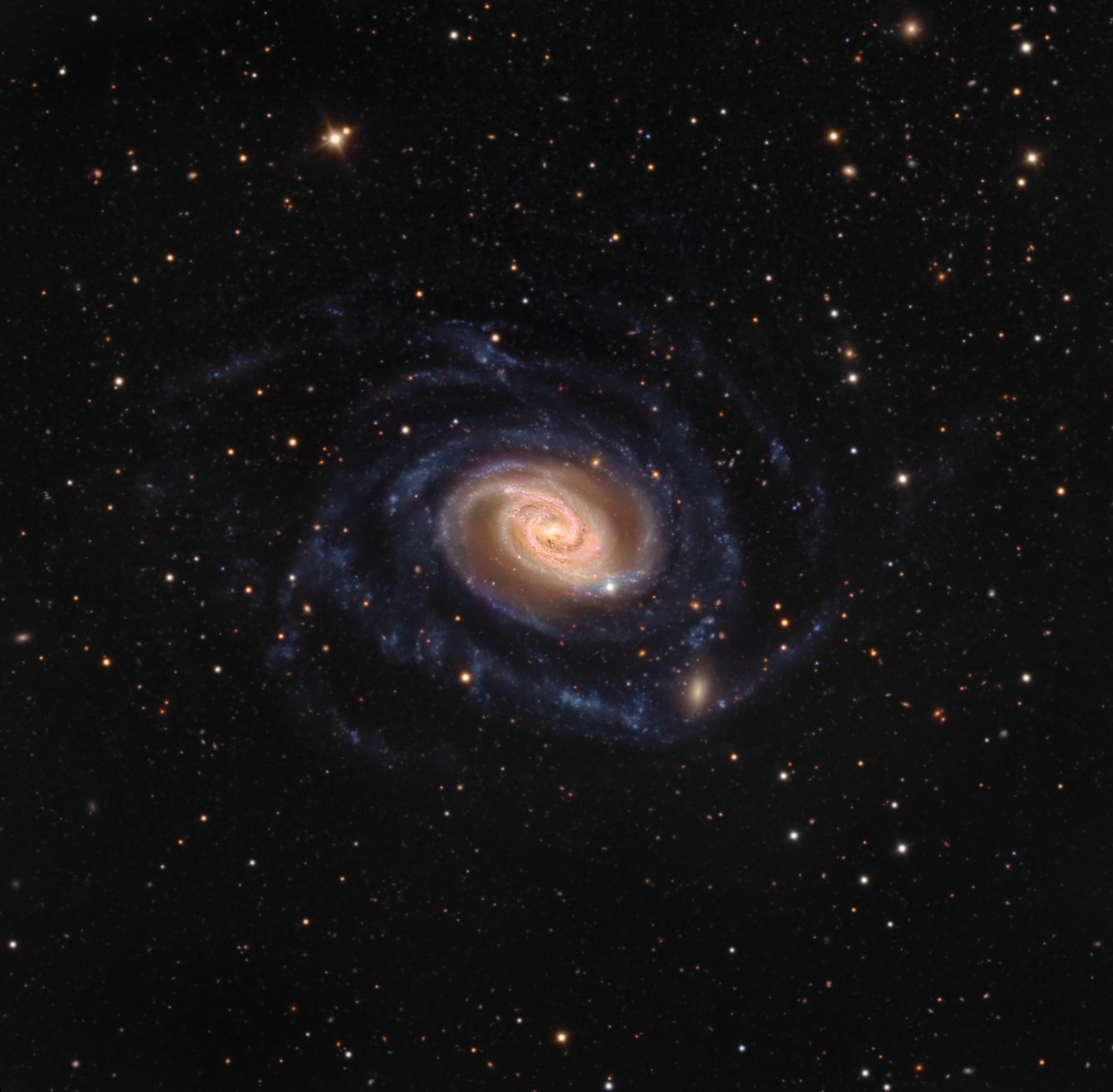 NGC289Selby.jpg