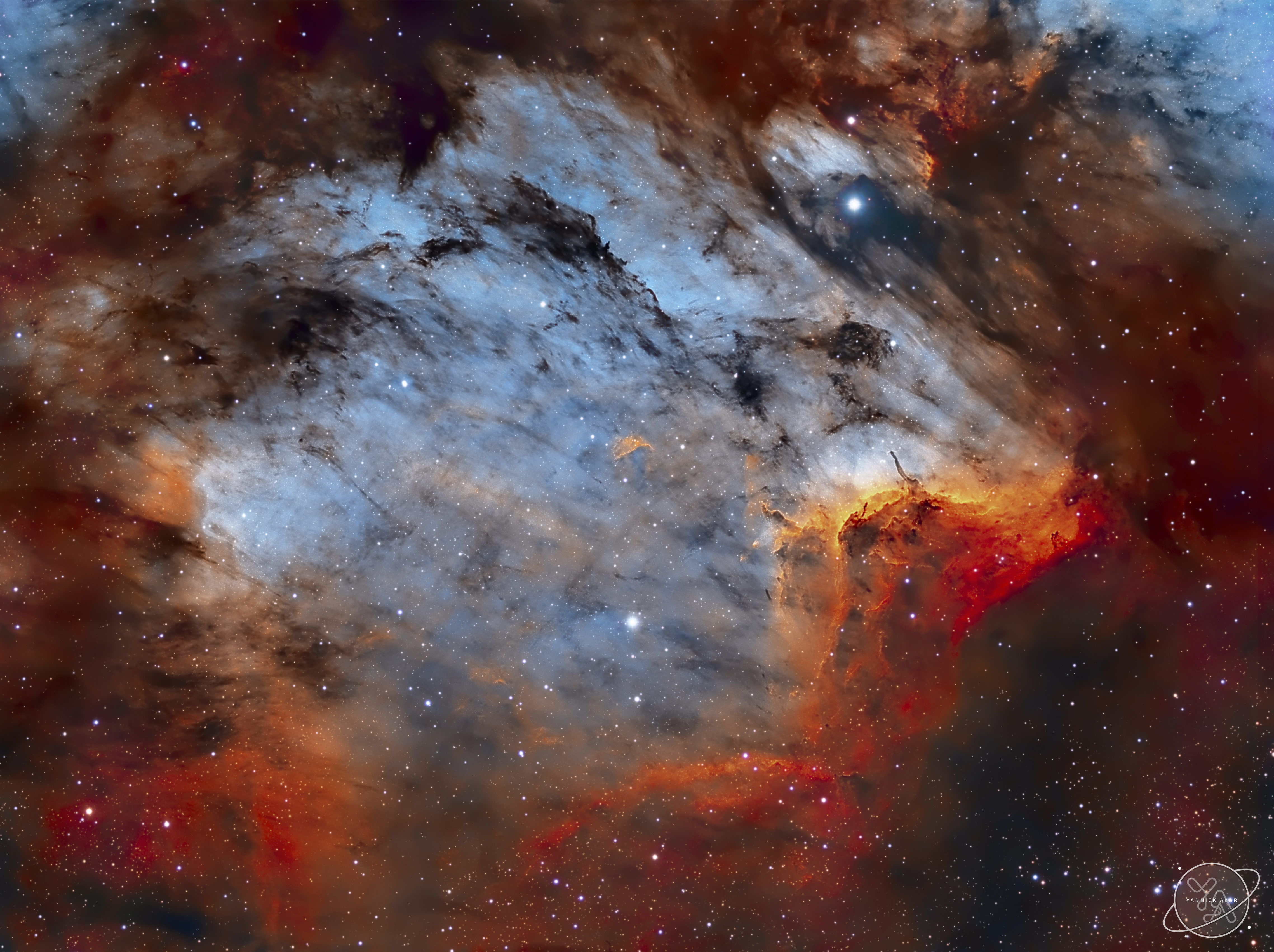 Pelican_Akar_4554.jpg
