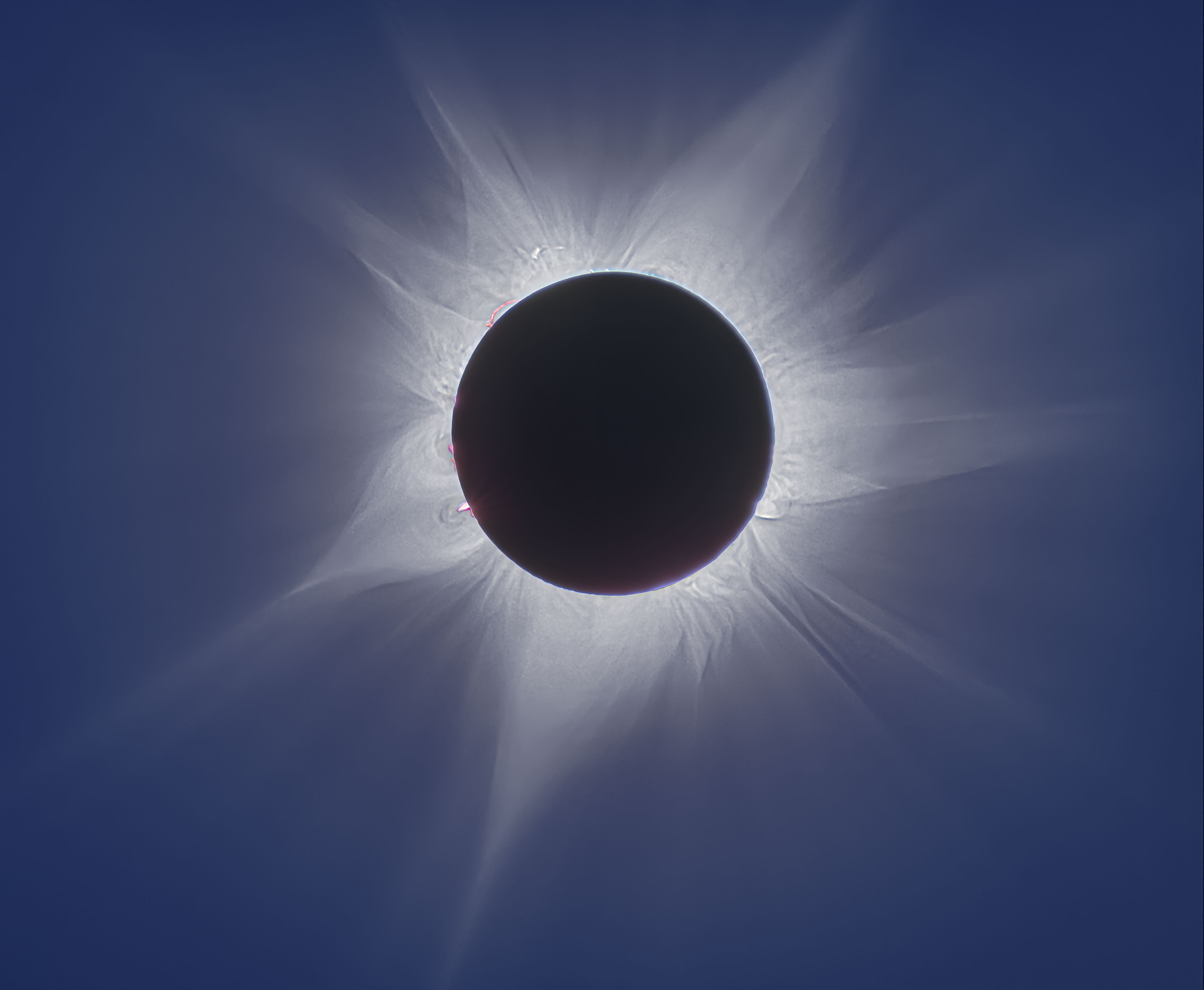 TSE2023-Comp48-2a.jpg