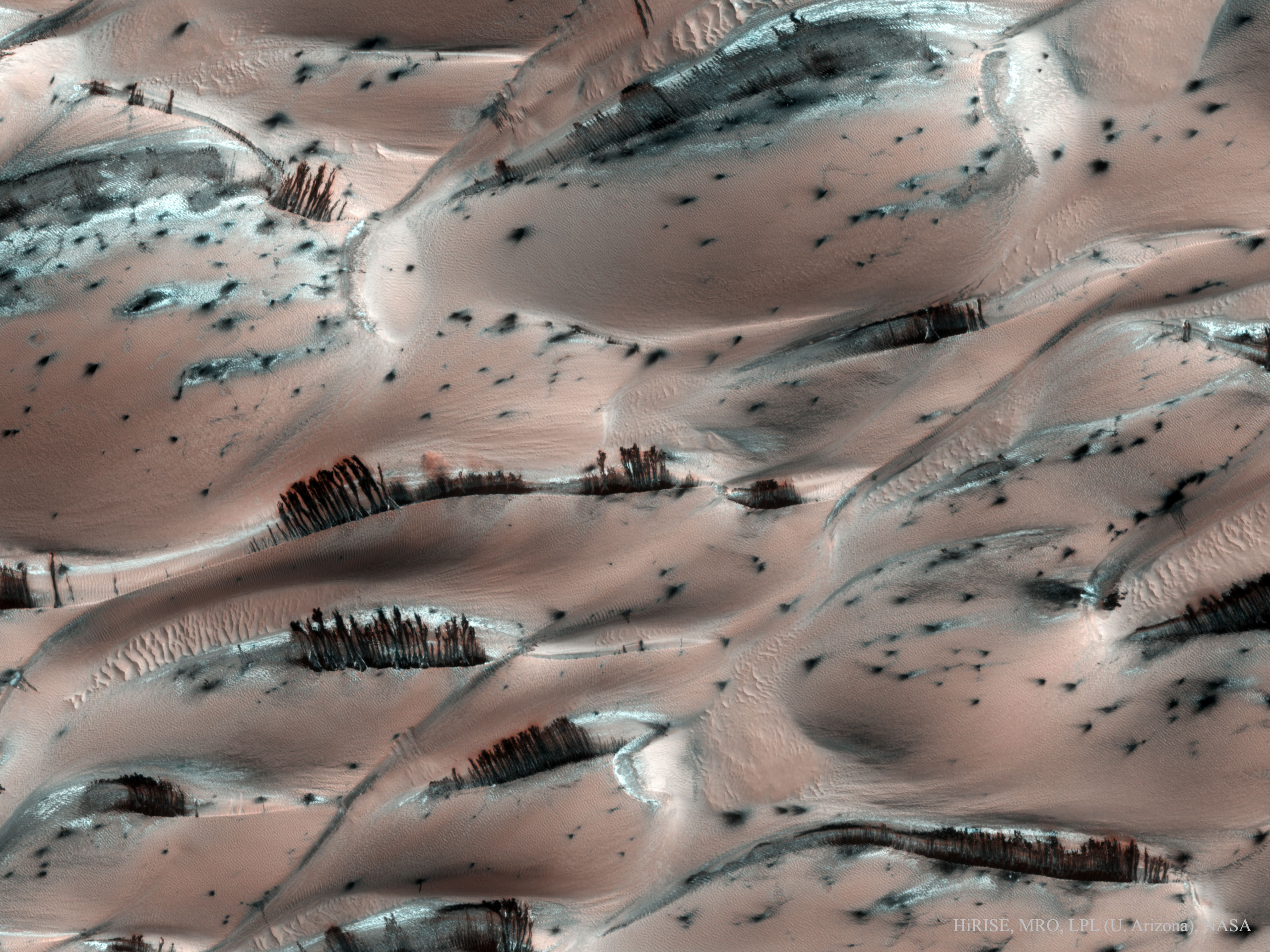 almosttrees_mro_2560.jpg