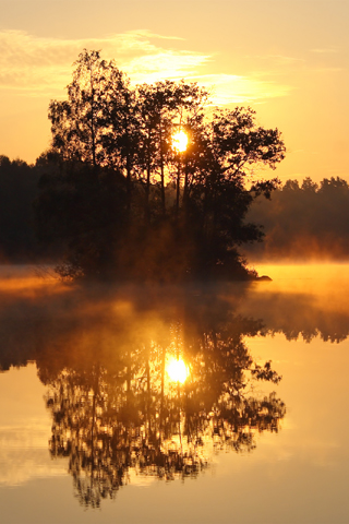 01366_alljungensweden_320x480.jpg
