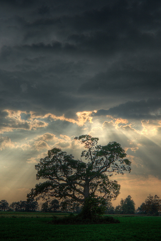 01401_beforethestorm_320x480.jpg