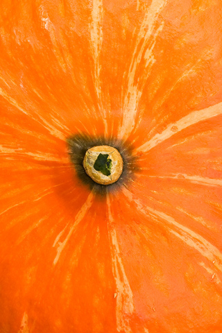 01411_gourd02_320x480.jpg