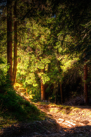 01424_lightfromtheleftturn_320x480.jpg