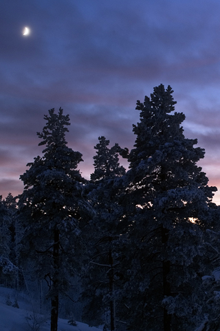 01425_northernsunset_320x480.jpg