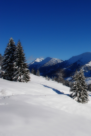 01439_alpinesight_320x480.jpg