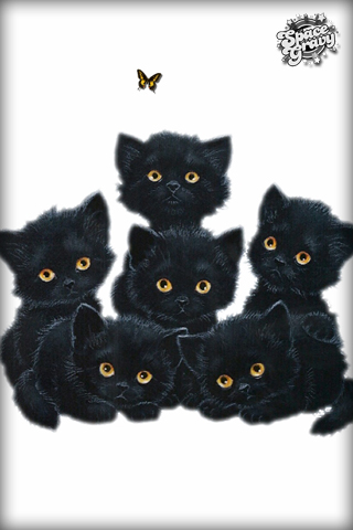 BlackKitties.jpg