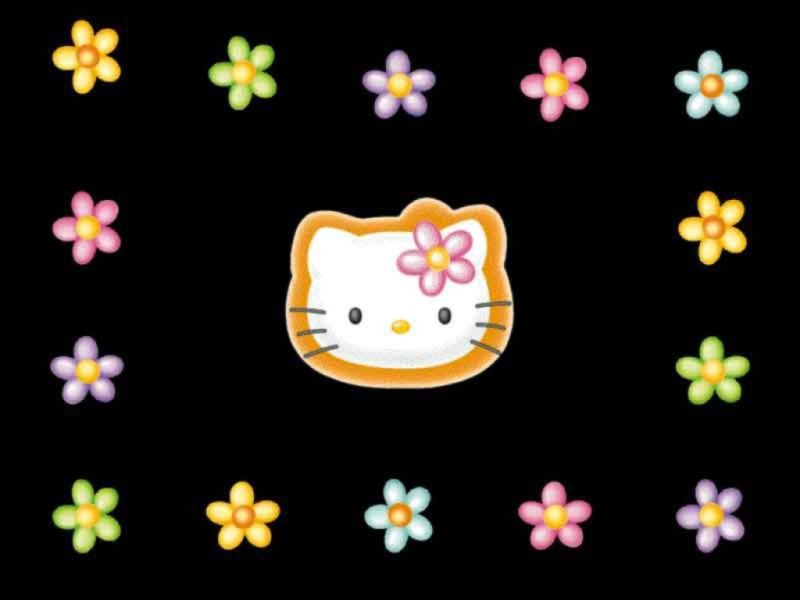 kitty12.jpg