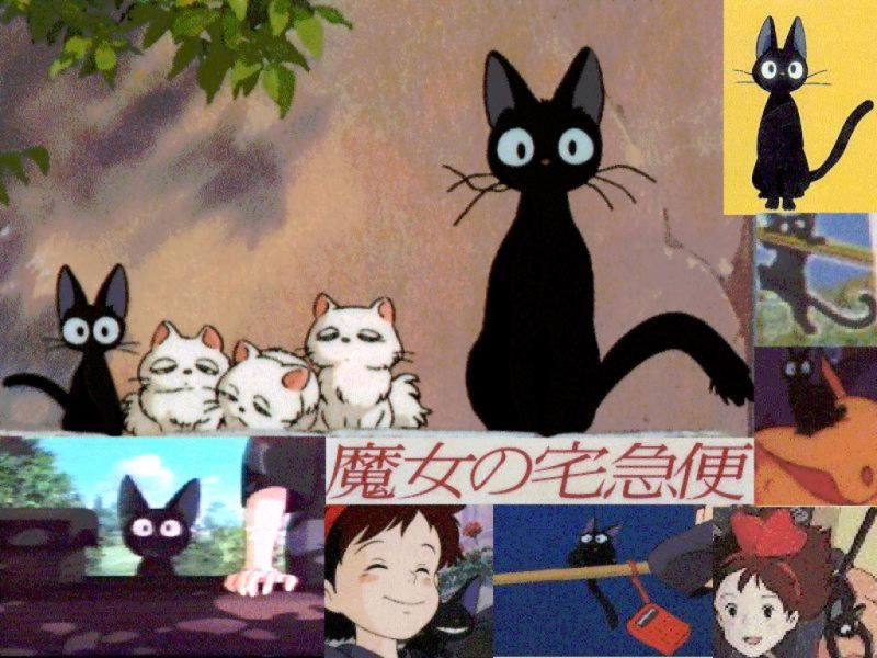 hayao02.jpg