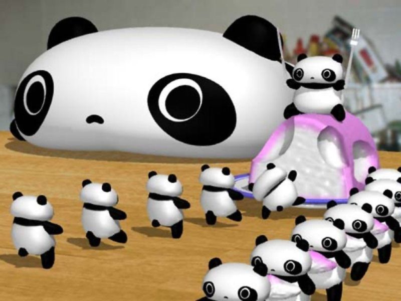 panda05.jpg