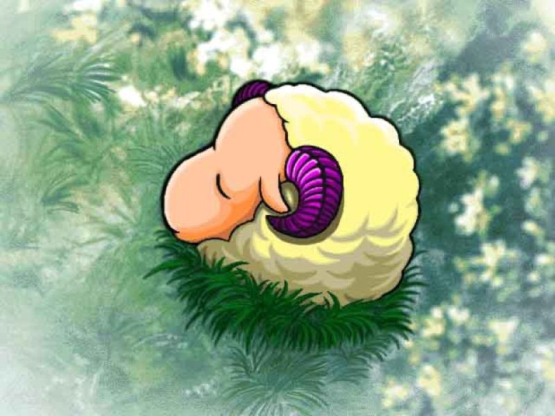 Sheeps07.jpg