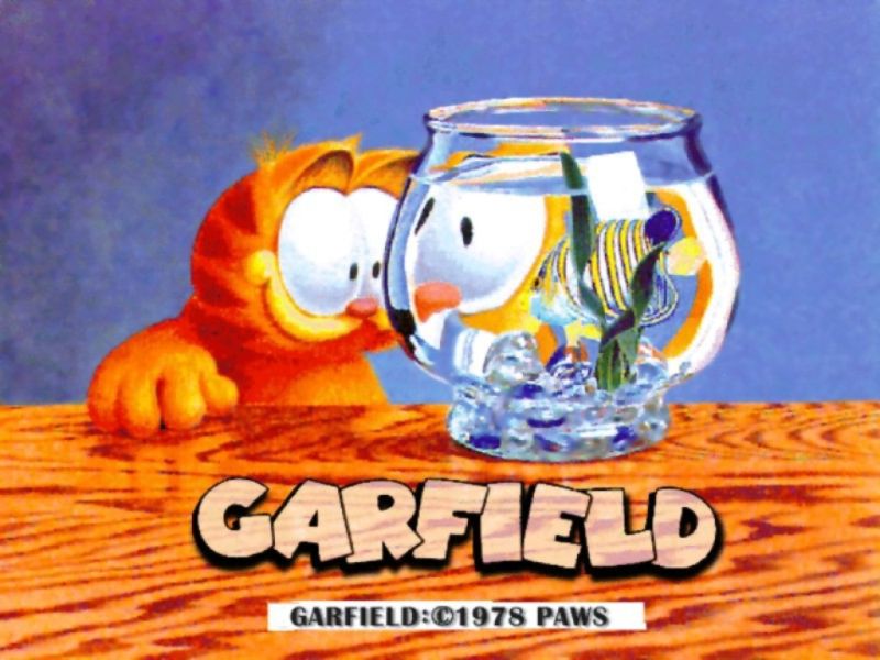 carfield07.jpg