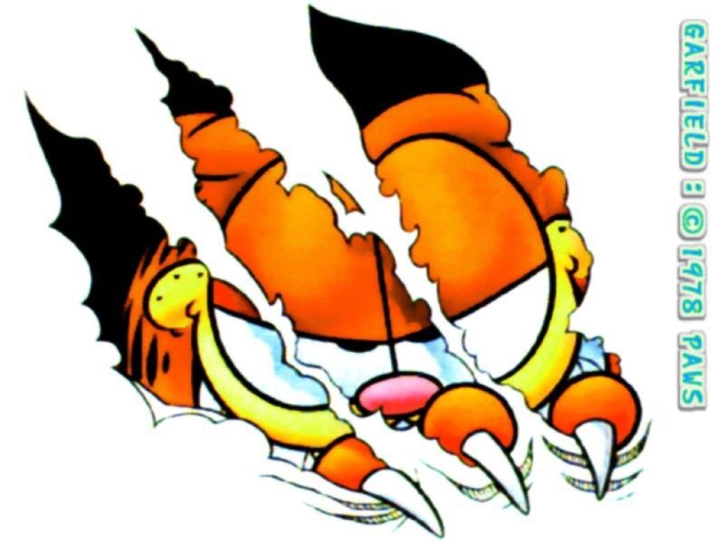 carfield13.jpg