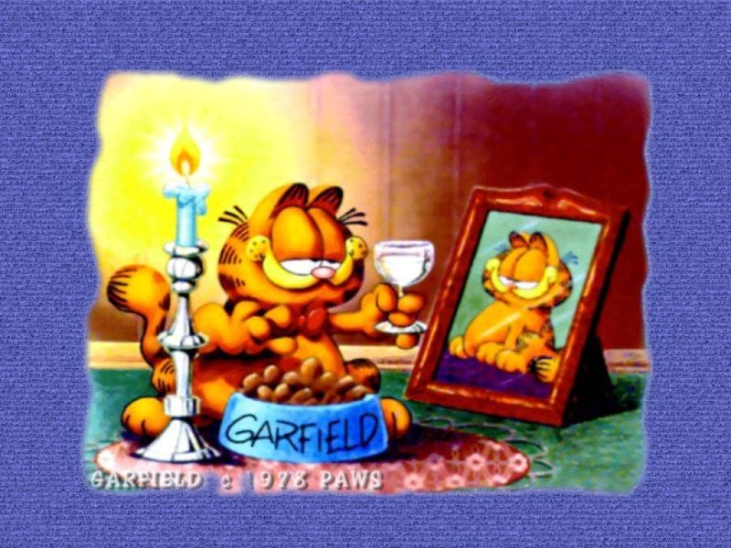 carfield39.jpg