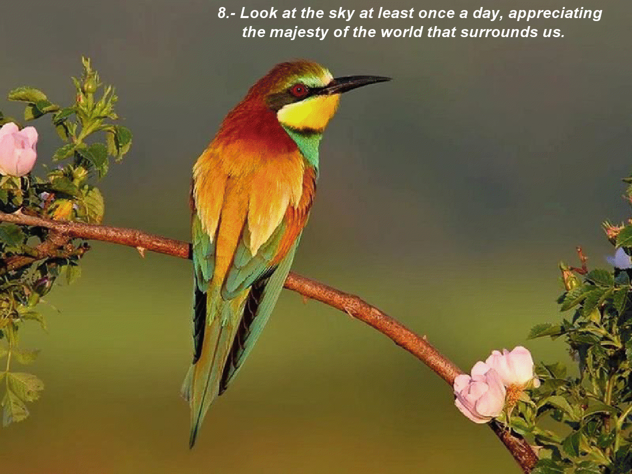 gview_009.png