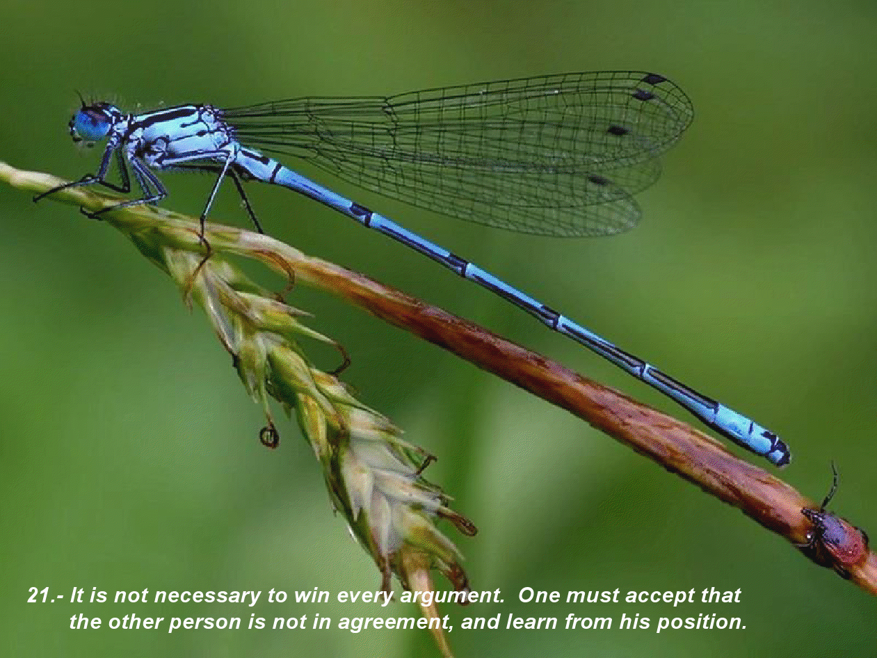 gview_021.png
