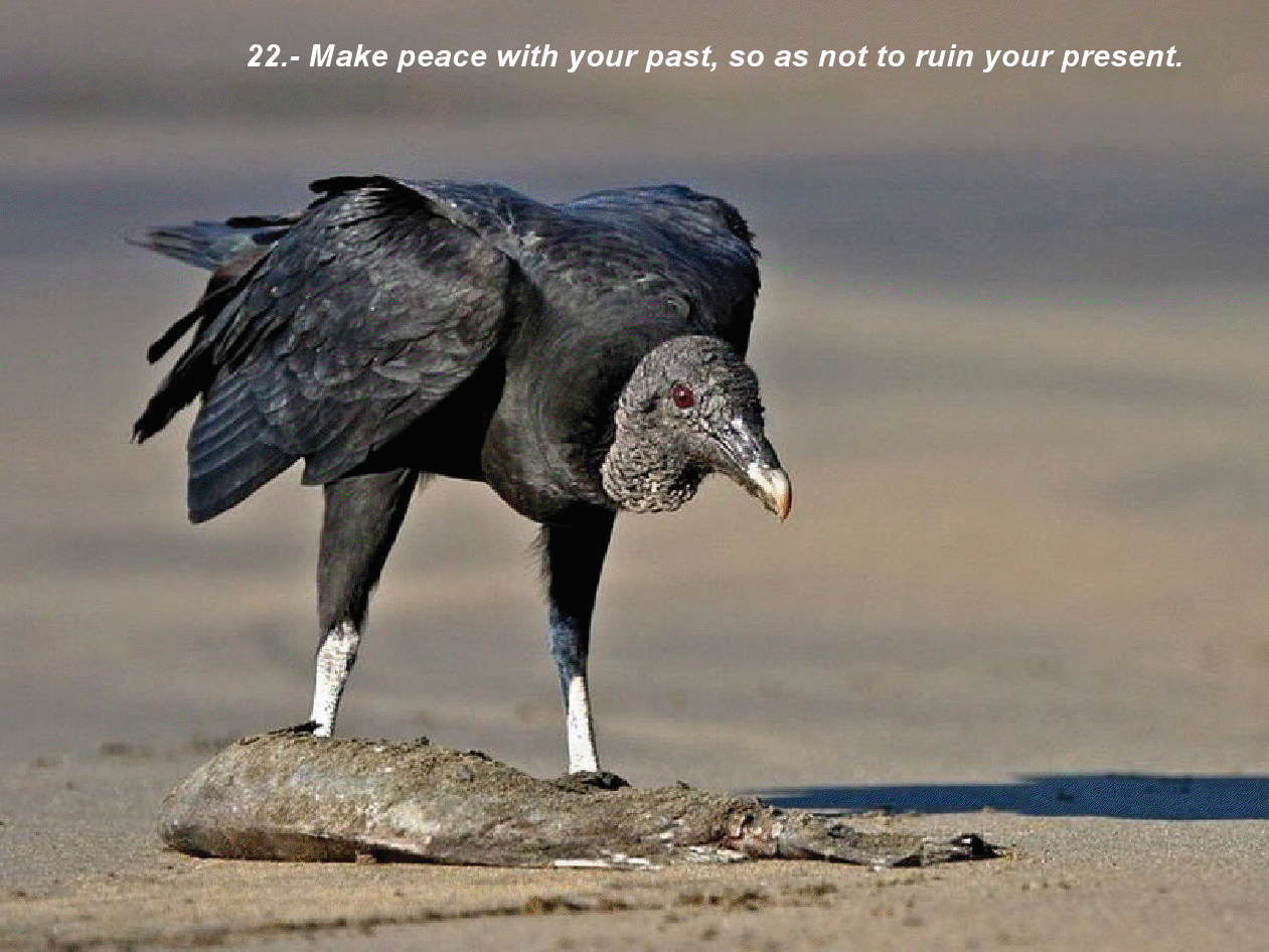 gview_023.png