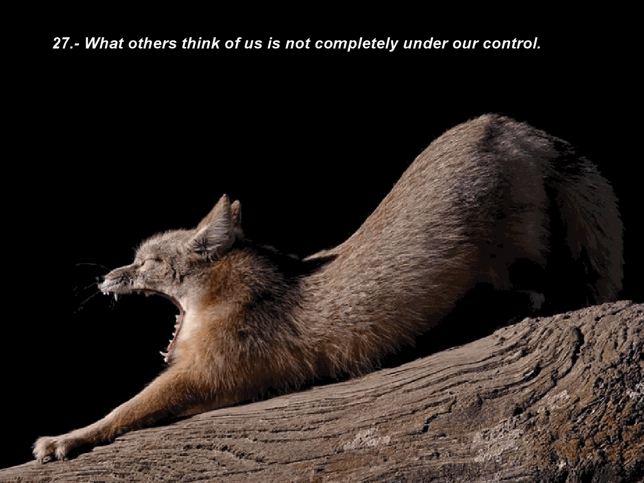 gview_026.png