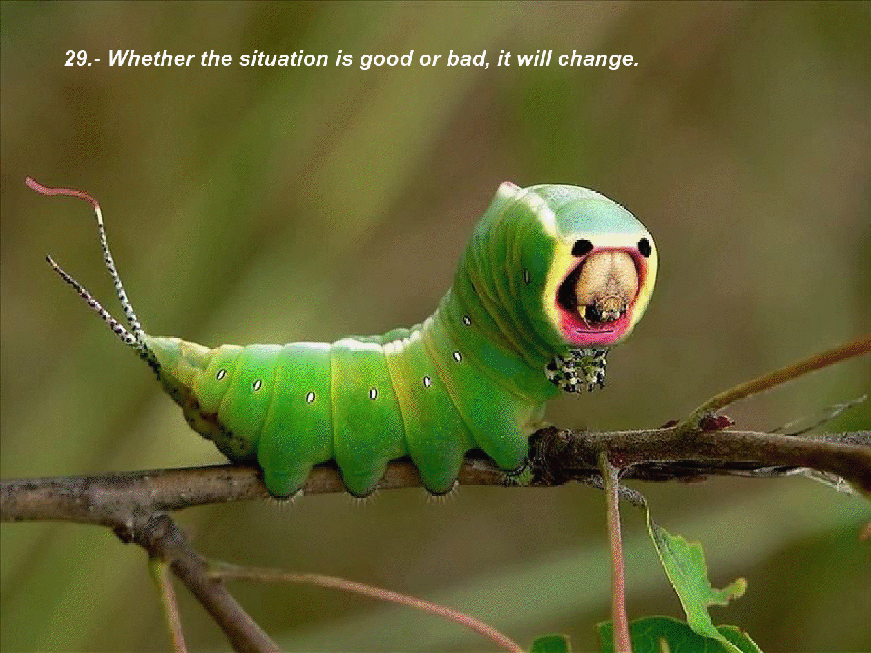 gview_027.png