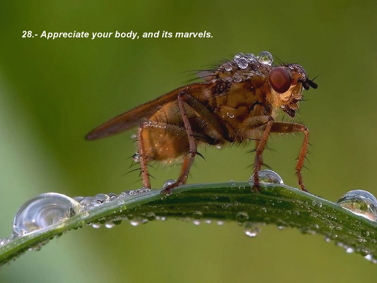 gview_028.png