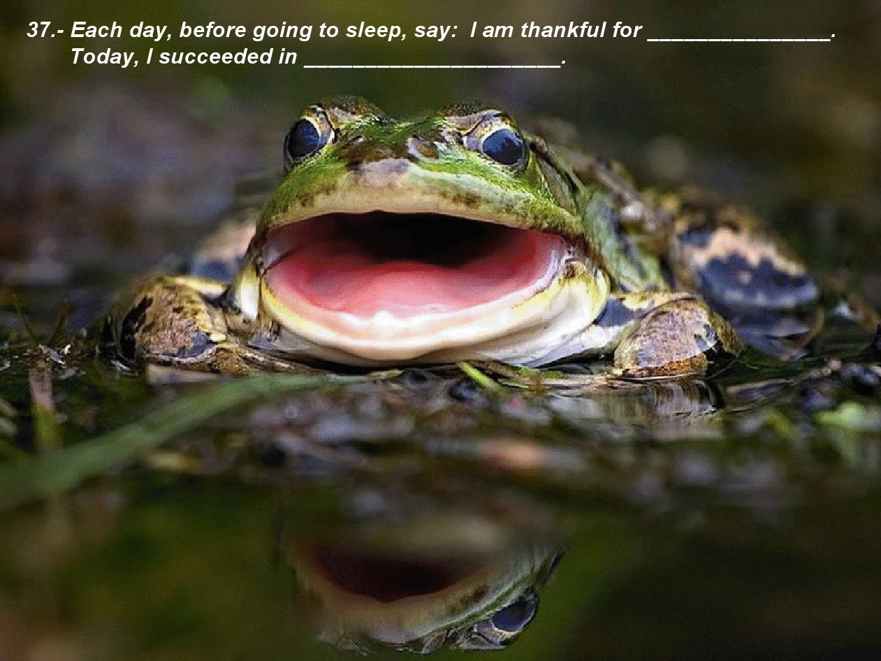 gview_037.png